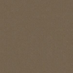 Philadelphia Commercial Carpet Emphatic Ii 30 Smokey 56742_54255