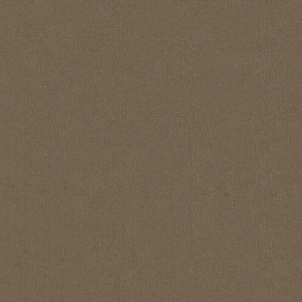 Philadelphia Commercial Carpet Emphatic Ii 30 Smokey 56742_54255