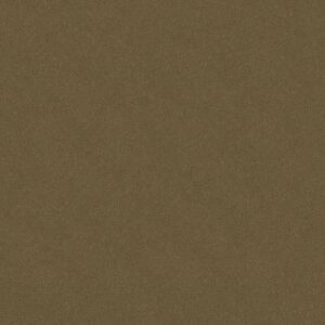 Philadelphia Commercial Carpet Emphatic Ii 30 Olive Twist 56755_54255