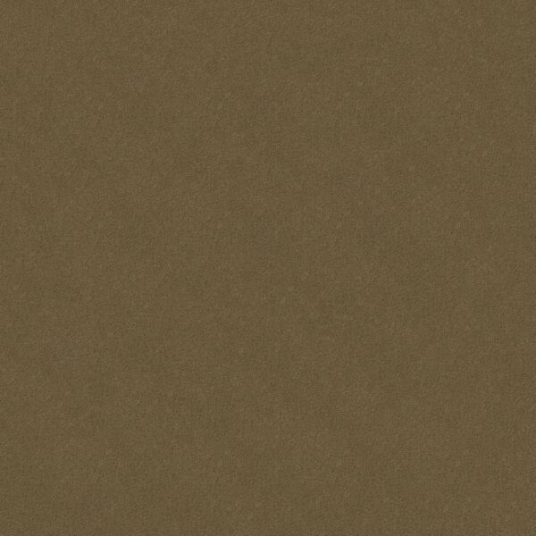 Philadelphia Commercial Carpet Emphatic Ii 30 Olive Twist 56755_54255