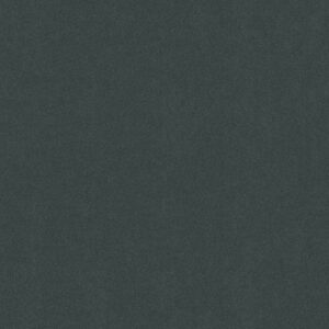 Philadelphia Commercial Carpet Emphatic Ii 30 Stone Wall 56904_54255