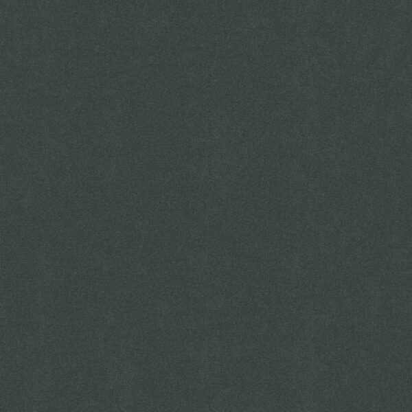 Philadelphia Commercial Carpet Emphatic Ii 30 Stone Wall 56904_54255