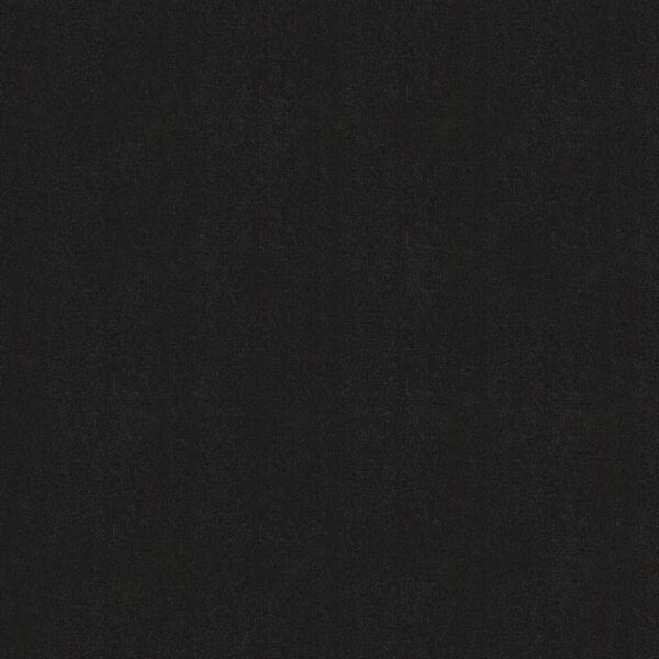 Philadelphia Commercial Carpet Emphatic Ii 30 Nightlife 56992_54255