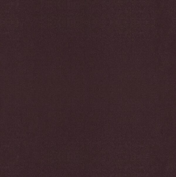 Philadelphia Commercial Carpet Emphatic Ii 30 Perfect Plum 56995_54255