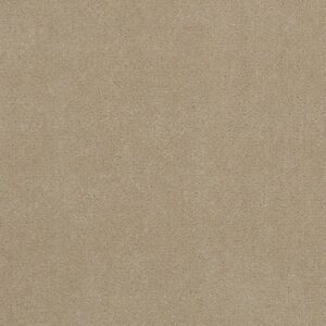 Philadelphia Commercial Carpet Emphatic Ii 36 White Gold 56100_54256