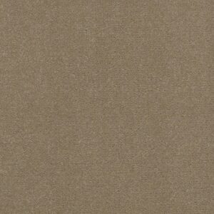 Philadelphia Commercial Carpet Emphatic Ii 36 Timeless 56110_54256