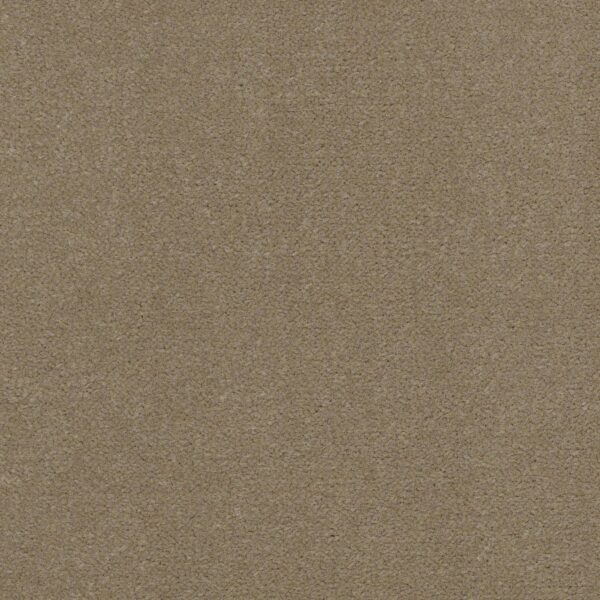 Philadelphia Commercial Carpet Emphatic Ii 36 Timeless 56110_54256