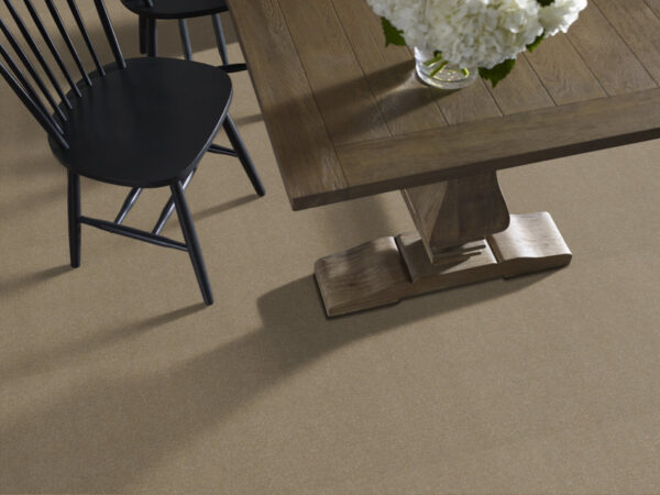 Philadelphia Commercial Carpet Emphatic Ii 36 Timeless 56110_54256 - Image 2