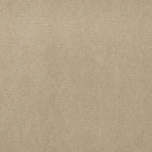 Philadelphia Commercial Carpet Emphatic Ii 36 Sand Pebble 56115_54256
