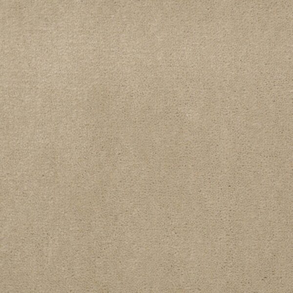 Philadelphia Commercial Carpet Emphatic Ii 36 Sand Pebble 56115_54256