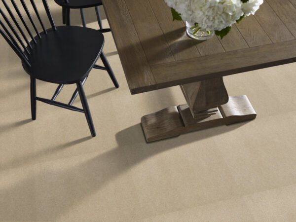 Philadelphia Commercial Carpet Emphatic Ii 36 Sand Pebble 56115_54256 - Image 2