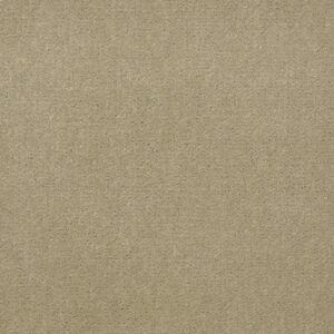 Philadelphia Commercial Carpet Emphatic Ii 36 Parchment 56120_54256