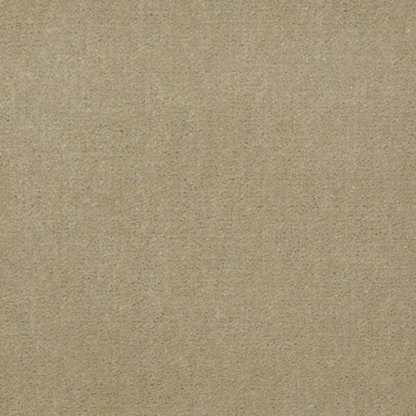 Philadelphia Commercial Carpet Emphatic Ii 36 Parchment 56120_54256