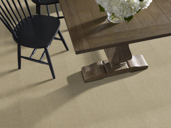 Philadelphia Commercial Carpet Emphatic Ii 36 Parchment 56120_54256 - Image 2
