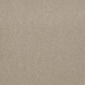 Philadelphia Commercial Carpet Emphatic Ii 36 Oatmeal 56142_54256