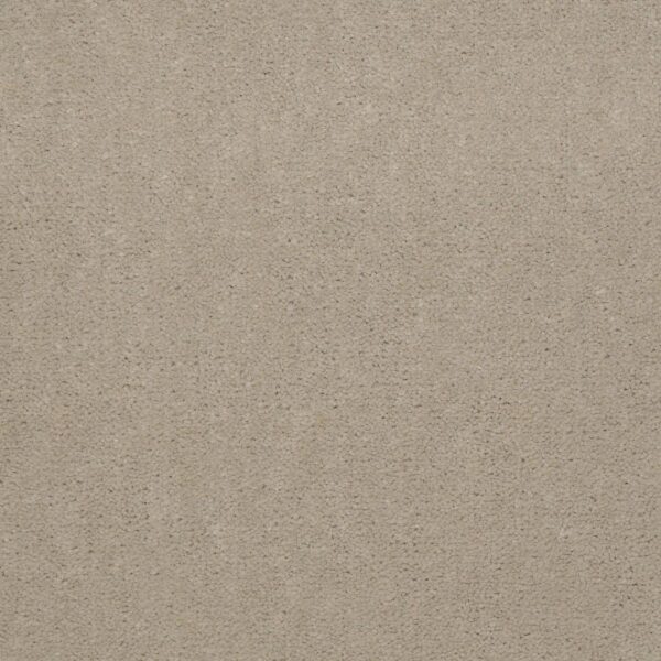 Philadelphia Commercial Carpet Emphatic Ii 36 Oatmeal 56142_54256