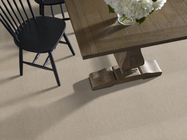Philadelphia Commercial Carpet Emphatic Ii 36 Oatmeal 56142_54256 - Image 2