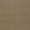 Philadelphia Commercial Carpet Emphatic Ii 36 Canyon Dust 56144_54256