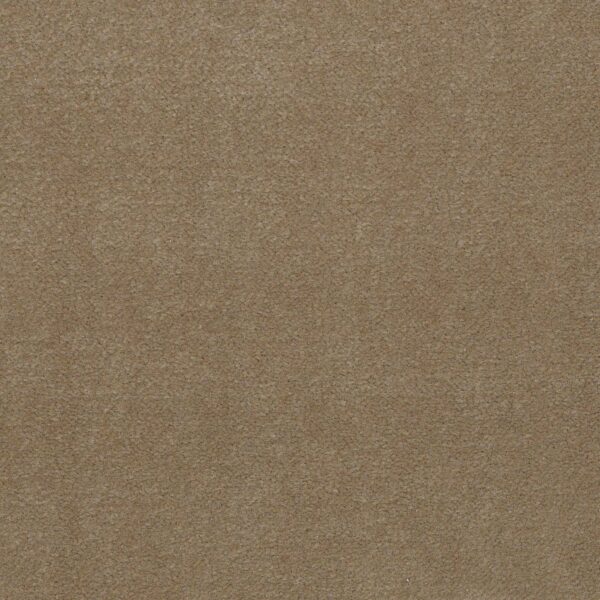 Philadelphia Commercial Carpet Emphatic Ii 36 Canyon Dust 56144_54256
