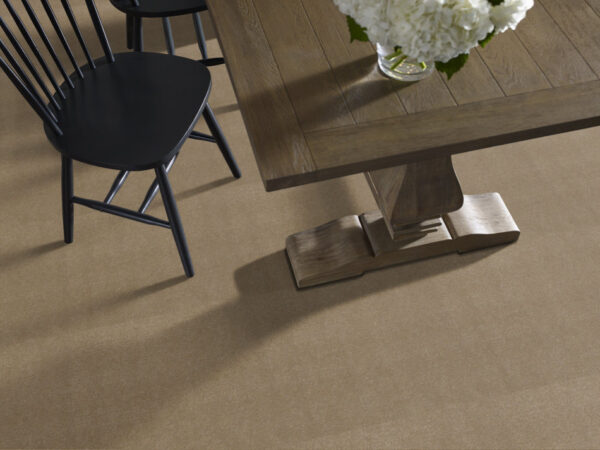 Philadelphia Commercial Carpet Emphatic Ii 36 Canyon Dust 56144_54256 - Image 2