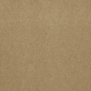 Philadelphia Commercial Carpet Emphatic Ii 36 South Beach 56147_54256