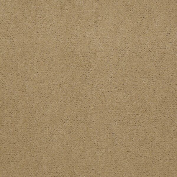 Philadelphia Commercial Carpet Emphatic Ii 36 South Beach 56147_54256
