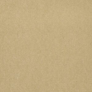 Philadelphia Commercial Carpet Emphatic Ii 36 Sun Valley 56148_54256