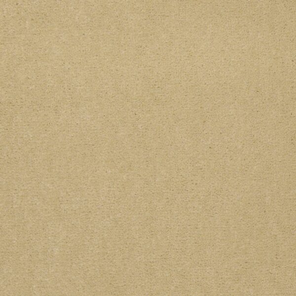 Philadelphia Commercial Carpet Emphatic Ii 36 Sun Valley 56148_54256