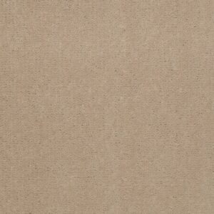 Philadelphia Commercial Carpet Emphatic Ii 36 Blondwood 56151_54256