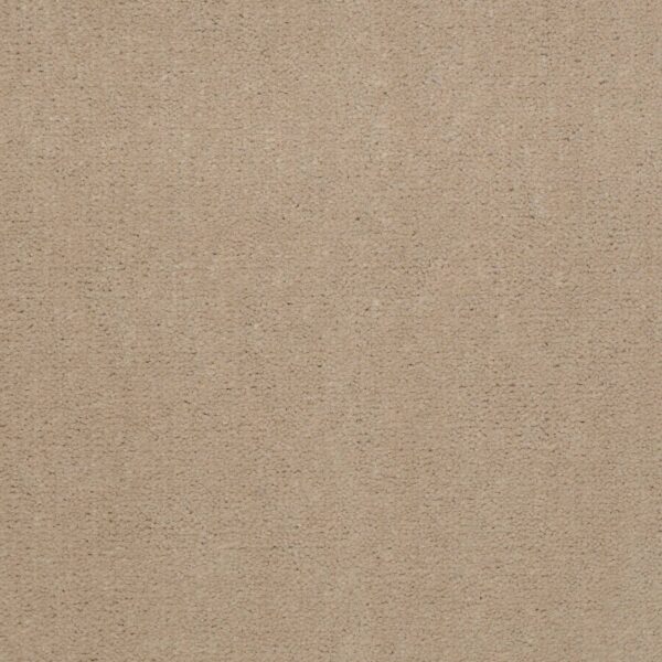 Philadelphia Commercial Carpet Emphatic Ii 36 Blondwood 56151_54256