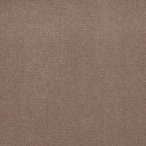 Philadelphia Commercial Carpet Emphatic Ii 36 Clay Bisque 56153_54256