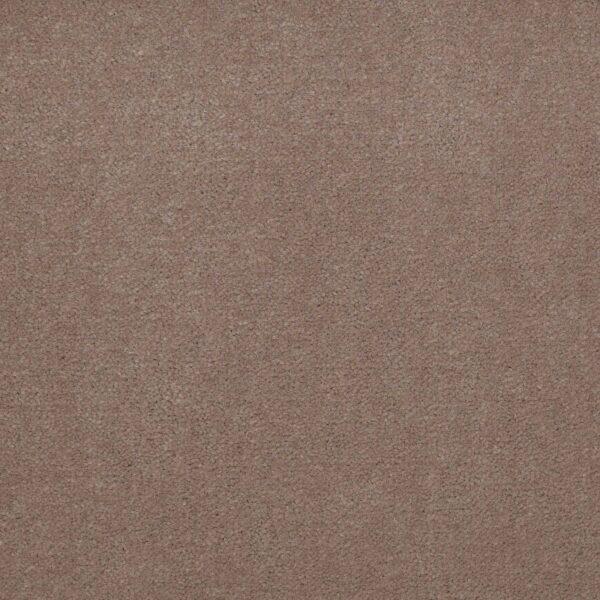 Philadelphia Commercial Carpet Emphatic Ii 36 Clay Bisque 56153_54256