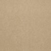 Philadelphia Commercial Carpet Emphatic Ii 36 Candlewick 56155_54256