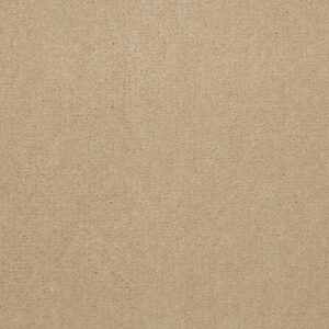 Philadelphia Commercial Carpet Emphatic Ii 36 Candlewick 56155_54256