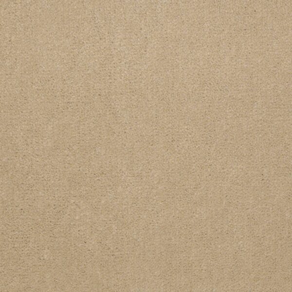 Philadelphia Commercial Carpet Emphatic Ii 36 Candlewick 56155_54256