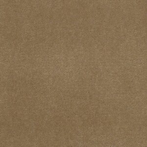 Philadelphia Commercial Carpet Emphatic Ii 36 Straw Market 56156_54256