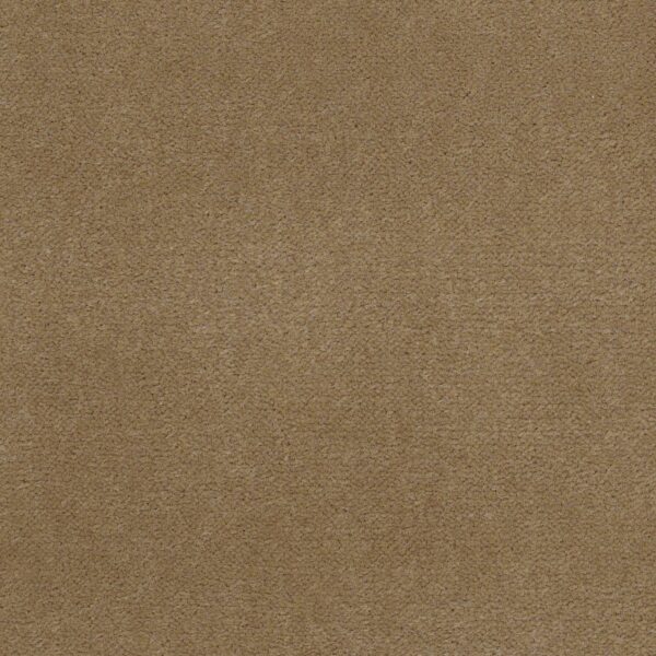 Philadelphia Commercial Carpet Emphatic Ii 36 Straw Market 56156_54256