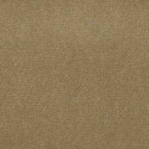 Philadelphia Commercial Carpet Emphatic Ii 36 Butterscotch 56191_54256