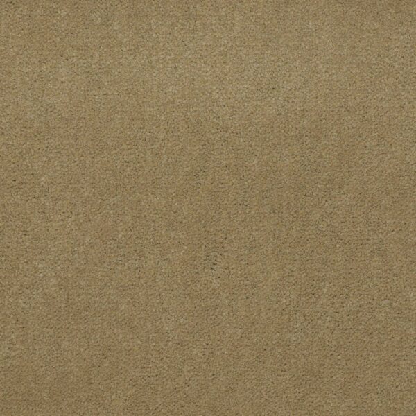 Philadelphia Commercial Carpet Emphatic Ii 36 Butterscotch 56191_54256