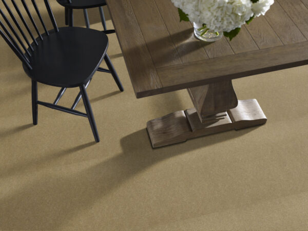 Philadelphia Commercial Carpet Emphatic Ii 36 Butterscotch 56191_54256 - Image 2