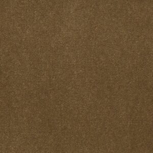 Philadelphia Commercial Carpet Emphatic Ii 36 Burnished 56220_54256