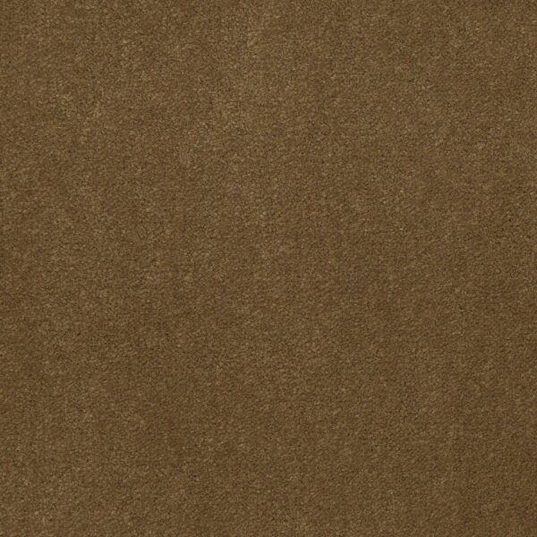 Philadelphia Commercial Carpet Emphatic Ii 36 Burnished 56220_54256