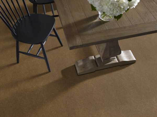 Philadelphia Commercial Carpet Emphatic Ii 36 Burnished 56220_54256 - Image 2