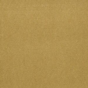 Philadelphia Commercial Carpet Emphatic Ii 36 Sunflower 56222_54256