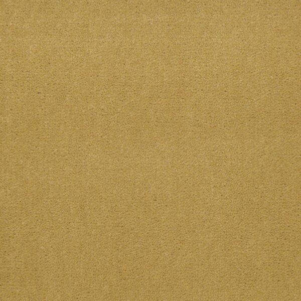 Philadelphia Commercial Carpet Emphatic Ii 36 Sunflower 56222_54256