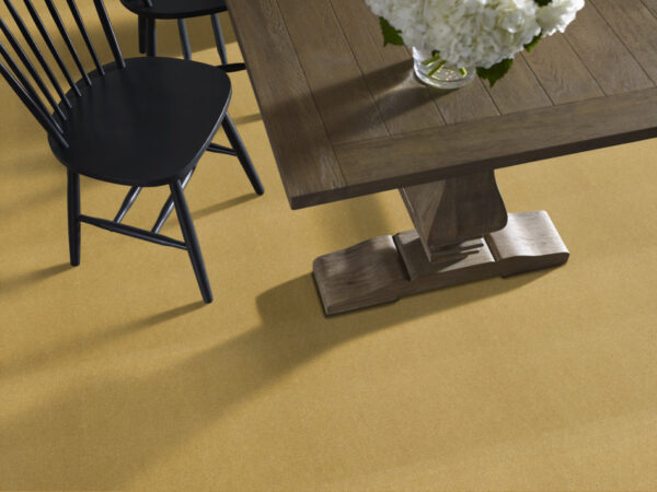 Philadelphia Commercial Carpet Emphatic Ii 36 Sunflower 56222_54256 - Image 2