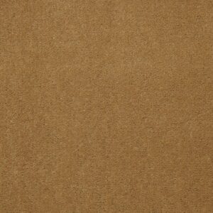 Philadelphia Commercial Carpet Emphatic Ii 36 Gold Coast 56240_54256