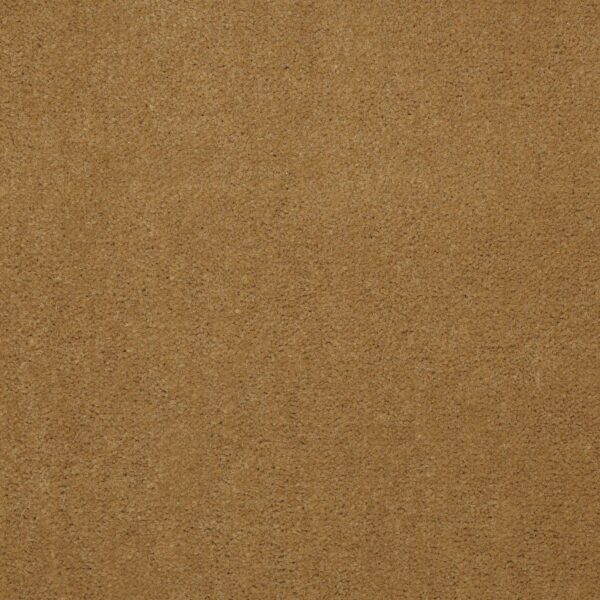Philadelphia Commercial Carpet Emphatic Ii 36 Gold Coast 56240_54256