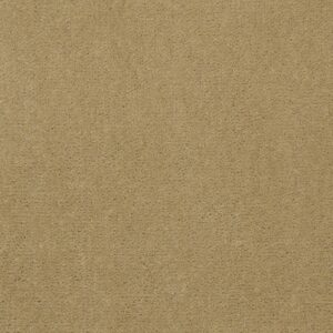 Philadelphia Commercial Carpet Emphatic Ii 36 Honeywheat 56243_54256