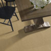 Philadelphia Commercial Carpet Emphatic Ii 36 Honeywheat 56243_54256 - Image 2